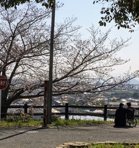 ＊お花見お散歩会＊