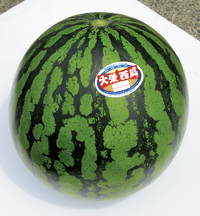 甘〜いスイカ
