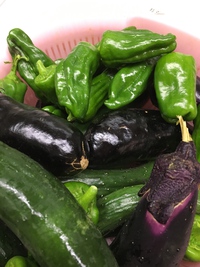 初採れ野菜♪