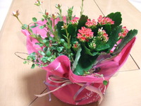 粋ですねぇ♡