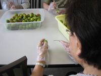 つばきの梅日記(＾．＾)