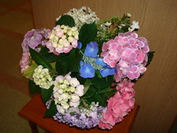 花いっぱいに囲まれて❤