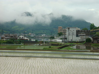 田植え　お疲れ様
