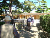 玉藻よし