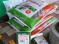 ＧｒｅｅｎカーテンＩＮカメリア