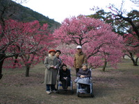 栗林公園