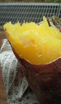 大寿苑文化祭♪