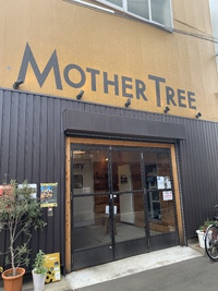 CRAFT BEER BASE MOTHER TREE