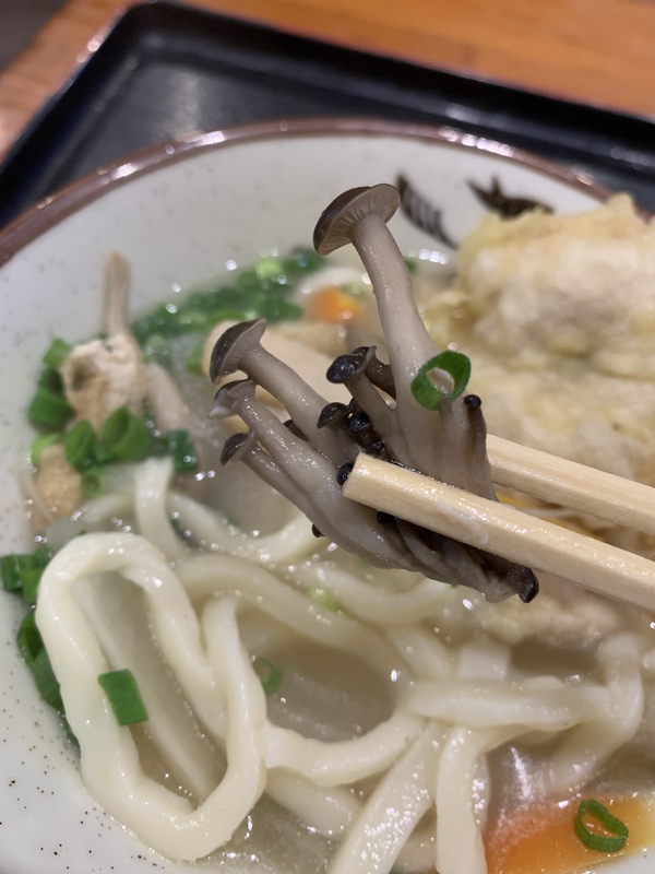 大島うどん（しっぽくうどん）