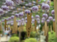 正寿院（風鈴寺）