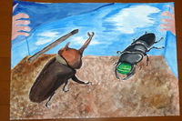 夏休みの宿題2013（カブトムシとクワガタ）