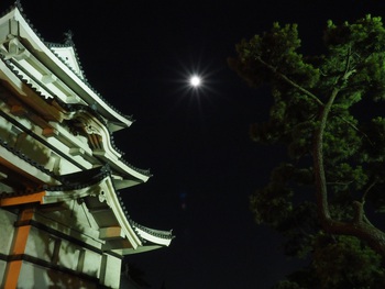 夜散歩