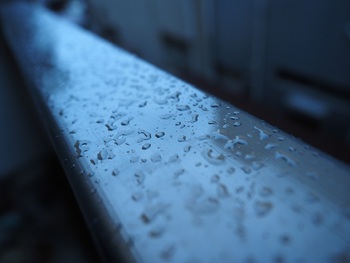 雨降ってきた