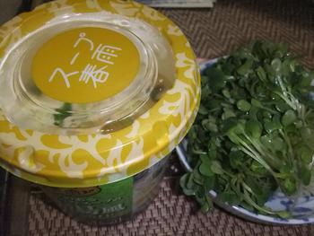 今夜は軽めに