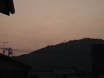 朝だよ
