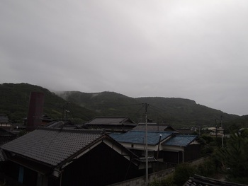 今朝は、雨。。