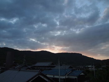 台風一過の朝