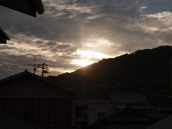 朝だぁ。。