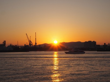 2019年初早朝サンポート