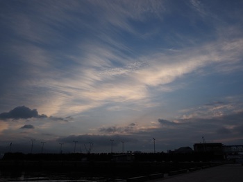 雨あがりの朝