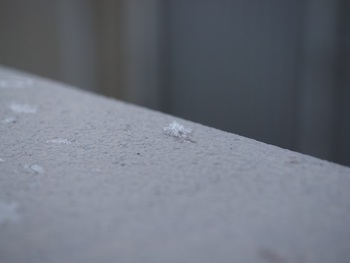 雪
