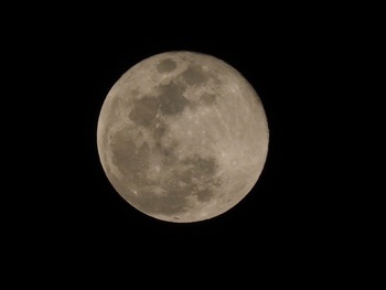 今夜は満月