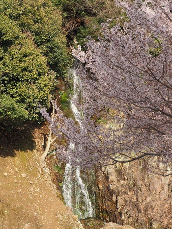 栗林公園を散歩