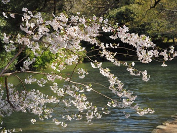 栗林公園を散歩