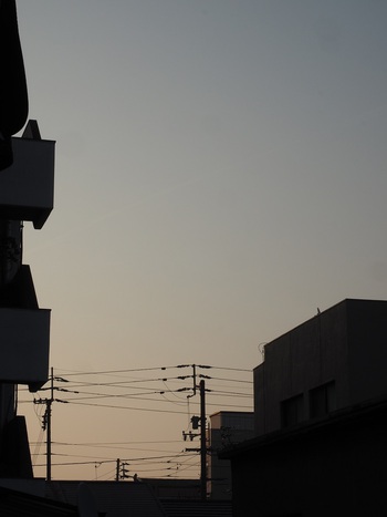 ５月スタート