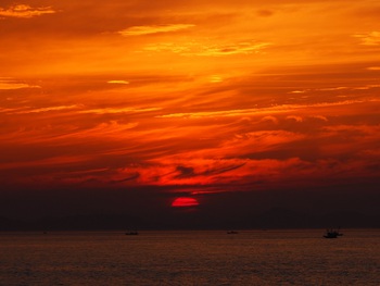 今年一番の夕焼け空