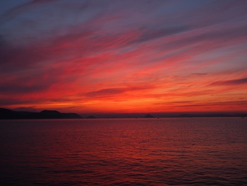 今年一番の夕焼け空