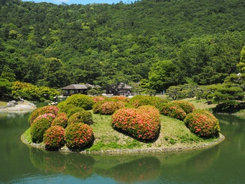 花満開