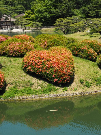 花満開