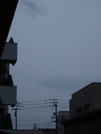 今朝は台風前の雨