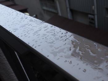 今朝は台風前の雨