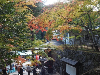 まだまだこれから。。。