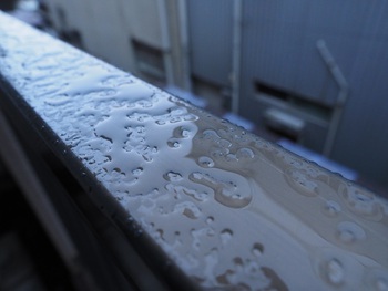 今朝は雨