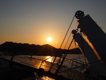 夕方の散歩