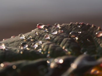 水滴