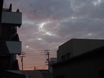 鳥・鳥・鳥