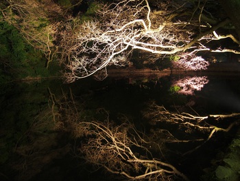 夜の栗林公園