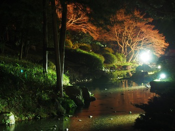 夜の栗林公園