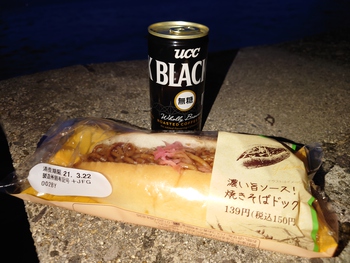 ダルマ朝陽に会いに