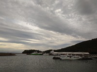久々の恵の雨 2024/09/22 08:34:48