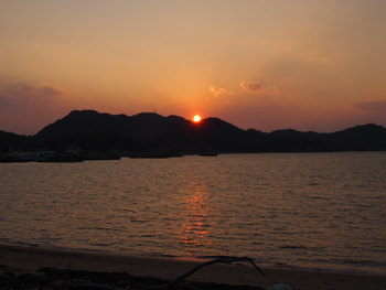 夕方の散歩