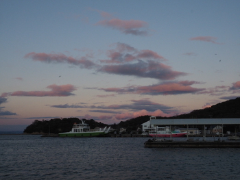 いつもの夕方の散歩