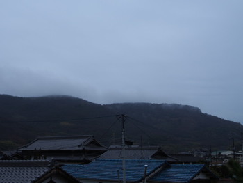 島の朝は雨。