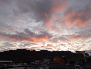 また一段と冷える朝