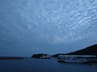 ウロコのような雲がいっぱい 2024/09/27 07:59:46