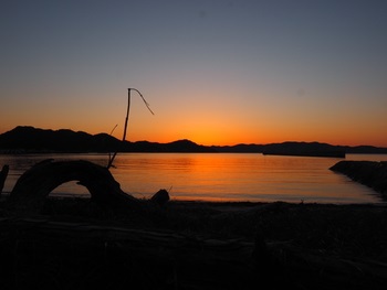 癒やしの夕暮れ時